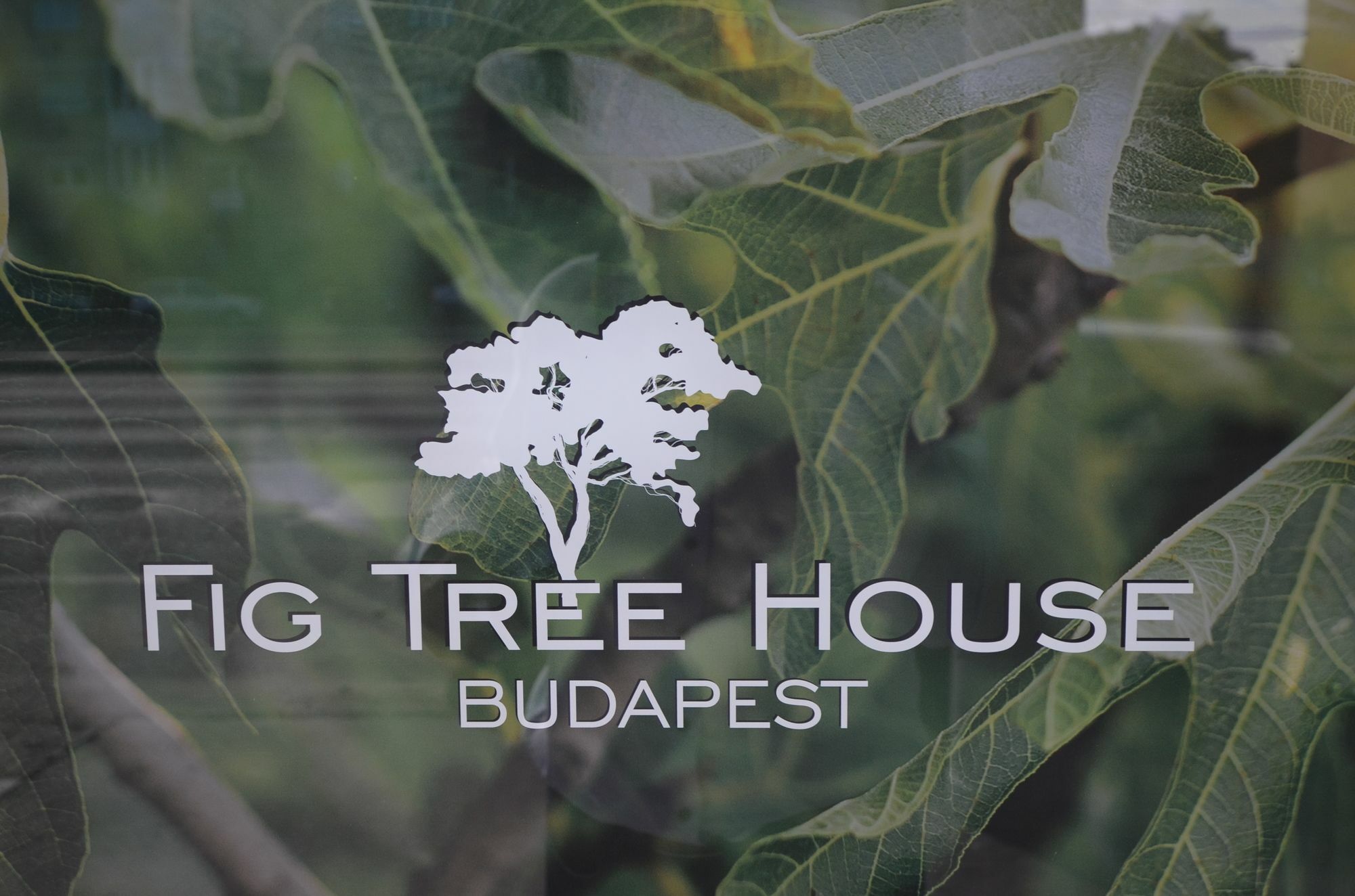 Fig Tree House Budapesta Exterior foto